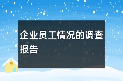 2024年企业员工状况调查报告